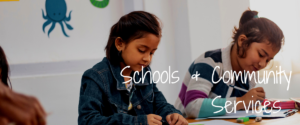 Schools and Community Services